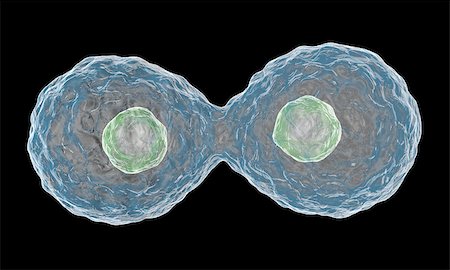 Multiplying Cells on Black Background. Stock Photo - Budget Royalty-Free & Subscription, Code: 400-07291626