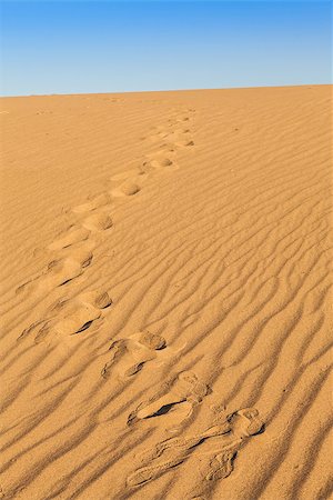 simsearch:400-04034980,k - Sand dunes of Mesquite Flat in Death Valley Desert - California Foto de stock - Royalty-Free Super Valor e Assinatura, Número: 400-07291901