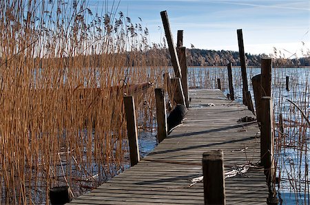 simsearch:400-07822203,k - The spring landscape with a lake and the blue skies Stock Photo - Budget Royalty-Free & Subscription, Code: 400-07291918