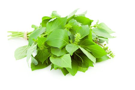 simsearch:400-06531157,k - Bunch of fresh Basil spice herb /  isolated on white background Foto de stock - Royalty-Free Super Valor e Assinatura, Número: 400-07292048