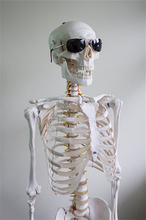 simsearch:400-05687204,k - cool spooky skeleton model wearing sunglasses on white background Photographie de stock - Aubaine LD & Abonnement, Code: 400-07292529