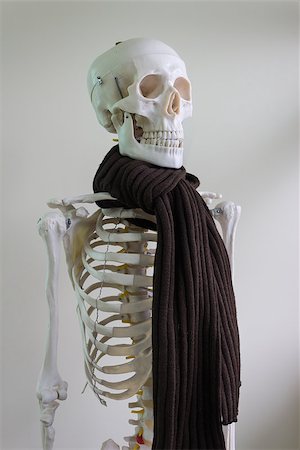 simsearch:400-04080722,k - scary skeleton model wearing brown knitted scarf Stockbilder - Microstock & Abonnement, Bildnummer: 400-07292530