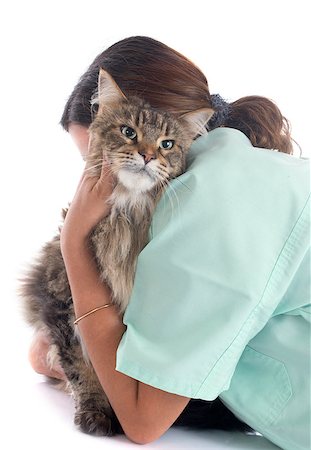 simsearch:400-06333992,k - portrait of a purebred  maine coon cat and vet on a white background Stock Photo - Budget Royalty-Free & Subscription, Code: 400-07292574