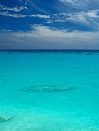 A tropical sea,with coral reef clearly visibal beneath the surface of the water Stock Photo - Budget Royalty-Free & Subscription, Code: 400-07293051