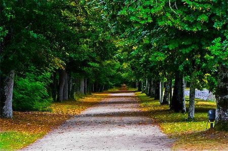 Path at Chenonceau Castle Stock Photo - Budget Royalty-Free & Subscription, Code: 400-07304224