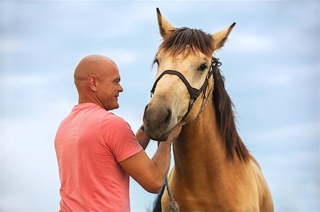 Photo bald man walks with a horse in the field Stock Photo - Budget Royalty-Free & Subscription, Code: 400-07304699