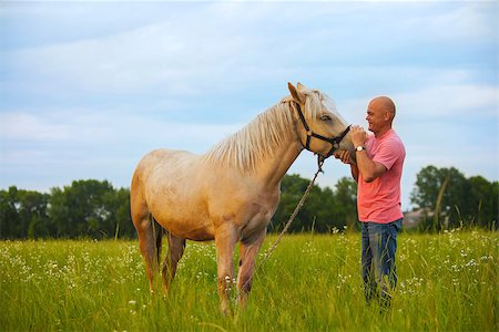Photo bald man walks with a horse in the field Stock Photo - Budget Royalty-Free & Subscription, Code: 400-07304702