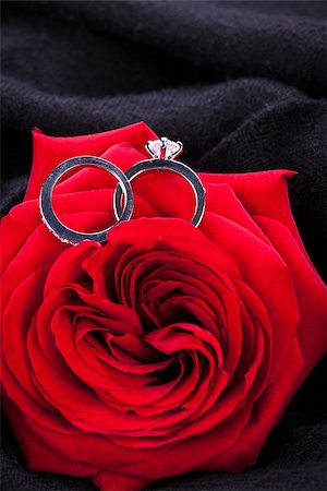 petal on stone - Overhead view of a diamond engagement ring nestling in the heart of a red rose amongst the soft petals Stock Photo - Budget Royalty-Free & Subscription, Code: 400-07305092