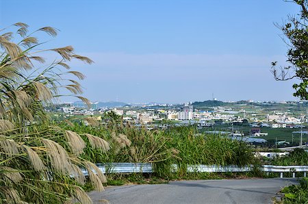 View over an Okinawan landscape in Japan Stock Photo - Budget Royalty-Free & Subscription, Code: 400-07305902