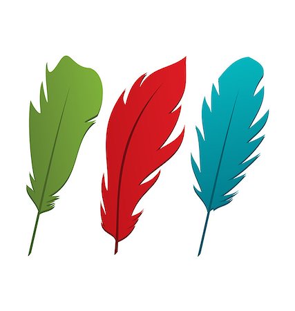 simsearch:400-08710331,k - Illustration set colorful feathers isolated on white background - vector Foto de stock - Royalty-Free Super Valor e Assinatura, Número: 400-07306082
