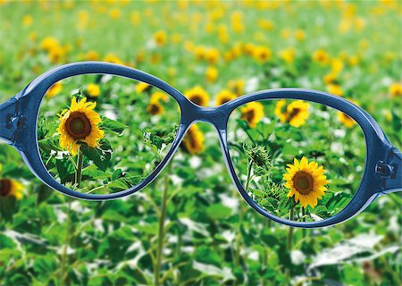 simsearch:400-08407302,k - View from reading eyeglasses on beautiful nature view, healthy eyesight concept Stock Photo - Budget Royalty-Free & Subscription, Code: 400-07306727