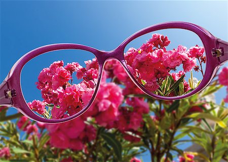 eye doctor test - View from reading eyeglasses on beautiful nature view, healthy eyesight concept Stock Photo - Budget Royalty-Free & Subscription, Code: 400-07306728
