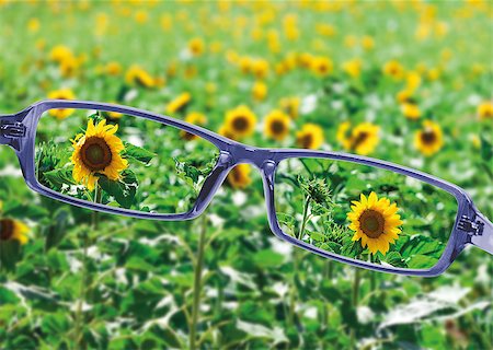 simsearch:400-08407302,k - View from reading eyeglasses on beautiful nature view, healthy eyesight concept Stock Photo - Budget Royalty-Free & Subscription, Code: 400-07306729