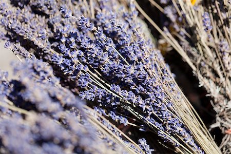 simsearch:400-05372314,k - fresh aromatic lavender in basket macro outdoor on market summer Stockbilder - Microstock & Abonnement, Bildnummer: 400-07306759