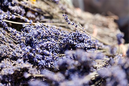 simsearch:400-05372314,k - fresh aromatic lavender in basket macro outdoor on market summer Stockbilder - Microstock & Abonnement, Bildnummer: 400-07306760
