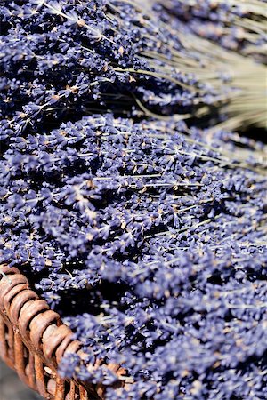 simsearch:400-05372314,k - fresh aromatic lavender in basket macro outdoor on market summer Stockbilder - Microstock & Abonnement, Bildnummer: 400-07306783