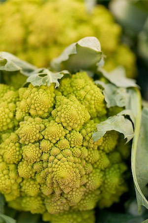 fresh green romanesco broccoli cabbage macro closeup summer outdoor Stock Photo - Budget Royalty-Free & Subscription, Code: 400-07306808