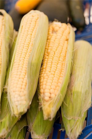 simsearch:824-07310382,k - fresh tasty corn macro closeup on market outdoor in summer Stockbilder - Microstock & Abonnement, Bildnummer: 400-07306814