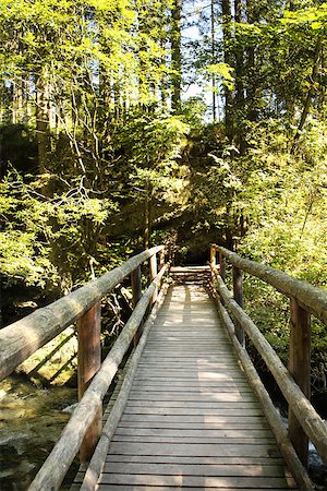 simsearch:400-05693840,k - Wooden bridge in summer forest Stock Photo - Budget Royalty-Free & Subscription, Code: 400-07308412