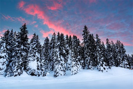 simsearch:400-07309469,k - Beautiful Sunrise near Madonna di Campiglio Ski Resort, Italian Alps, Italy Stock Photo - Budget Royalty-Free & Subscription, Code: 400-07308643