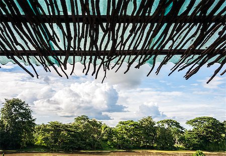 Tropical view from wooden eaves of small cottage. Stock Photo - Budget Royalty-Free & Subscription, Code: 400-07308859