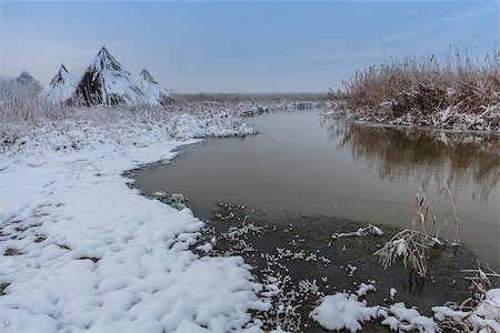 simsearch:400-07308966,k - lake in winter. Location: Comana Natural Park, Romania Photographie de stock - Aubaine LD & Abonnement, Code: 400-07308969