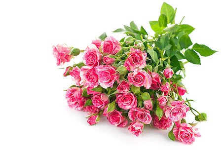 simsearch:689-03131124,k - Bouquet pink roses with green leaves. Isolated on white background Photographie de stock - Aubaine LD & Abonnement, Code: 400-07309306