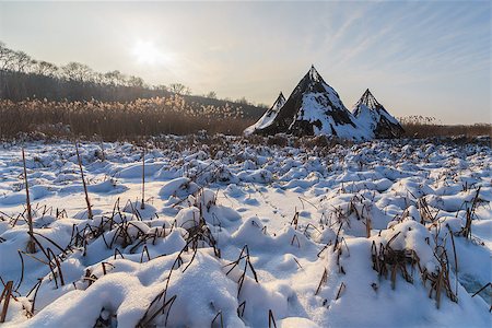 simsearch:400-07309672,k - lake in winter. Location: Comana Natural Park, Romania Stock Photo - Budget Royalty-Free & Subscription, Code: 400-07309746