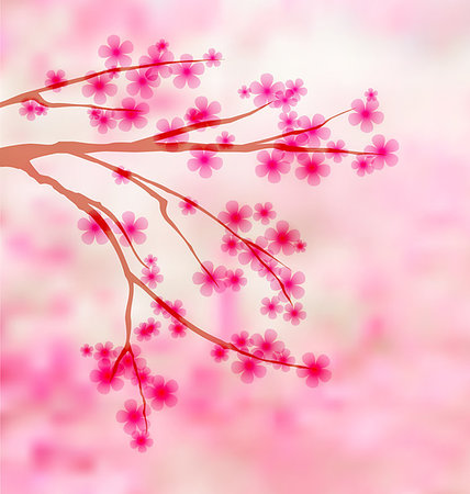 simsearch:400-06554755,k - Sakura background with place for text Stock Photo - Budget Royalty-Free & Subscription, Code: 400-07309878