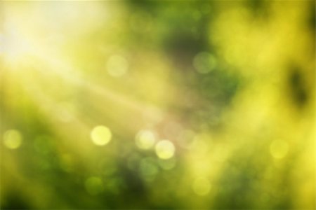 summer light abstract - Abstract real nature green blurred background with bokeh Stock Photo - Budget Royalty-Free & Subscription, Code: 400-07300413