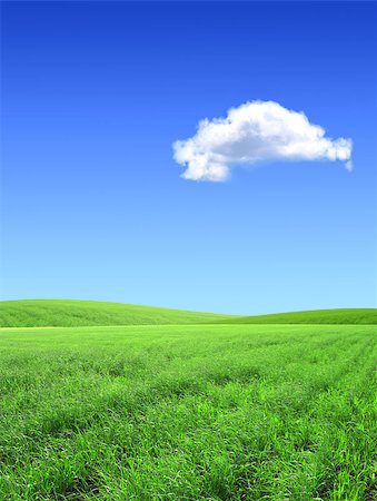 simsearch:400-04124483,k - Beautiful summer landscape. A green field, blue sky Photographie de stock - Aubaine LD & Abonnement, Code: 400-07300585