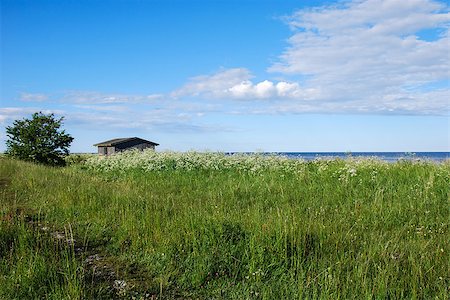 View at a path along the coast of Baltic Sea on the island Oland in Sweden. Foto de stock - Super Valor sin royalties y Suscripción, Código: 400-07300608