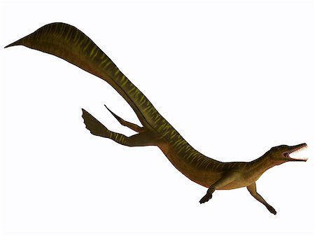 simsearch:400-04697365,k - The Mesosaurus was an aquatic carnivorous marine reptile from the Early Permian of Africa and South America. Foto de stock - Super Valor sin royalties y Suscripción, Código: 400-07301745