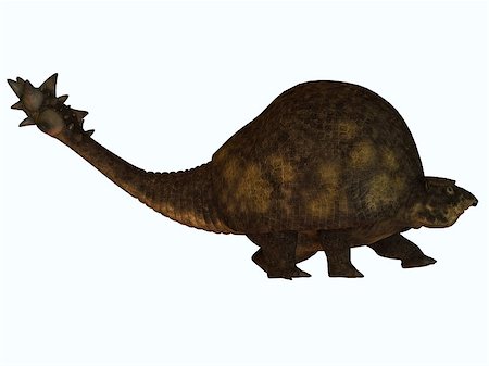 The Glyptodont lived during the Pleistocene Era and carried around a protective carapace like the present day turtle. Stock Photo - Budget Royalty-Free & Subscription, Code: 400-07301742