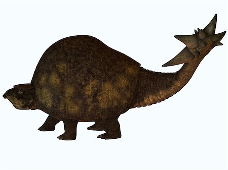 The Glyptodont lived during the Pleistocene Era and carried around a protective carapace like the present day turtle.Its tail may have been used to protect itself from predators or for mating rights. Stock Photo - Budget Royalty-Free & Subscription, Code: 400-07301743