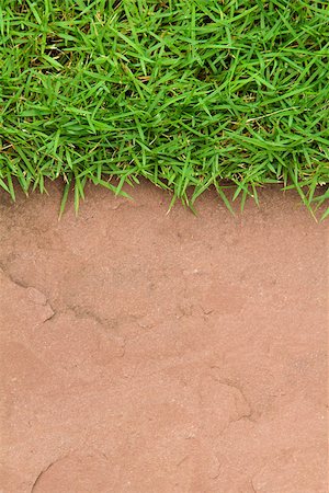 stone walls in meadows - Fresh green grass on sand stone background Stock Photo - Budget Royalty-Free & Subscription, Code: 400-07302378