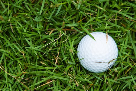 simsearch:400-03975619,k - Golf ball on the green grass background Stock Photo - Budget Royalty-Free & Subscription, Code: 400-07302399