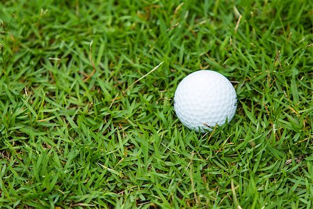 simsearch:400-03975619,k - Golf ball on the green grass background Stock Photo - Budget Royalty-Free & Subscription, Code: 400-07302390