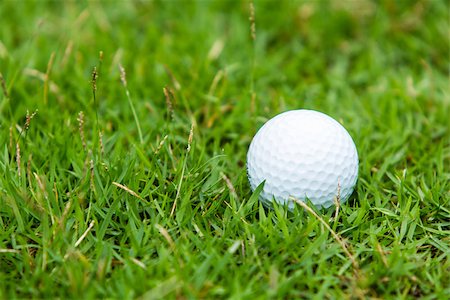 simsearch:400-03975619,k - Golf ball on the green grass background Stock Photo - Budget Royalty-Free & Subscription, Code: 400-07302400