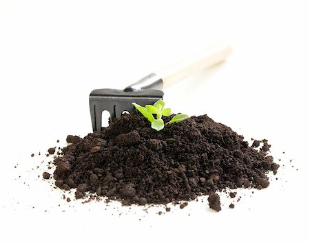 simsearch:400-07289214,k - green plant grows from the ground with garden tools on a white background Foto de stock - Super Valor sin royalties y Suscripción, Código: 400-07302495