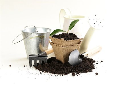 simsearch:400-08938500,k - green plant grows from the ground with garden tools on a white background Photographie de stock - Aubaine LD & Abonnement, Code: 400-07302496