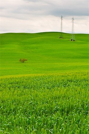 simsearch:400-04517909,k - High-voltage Power Line Passes through the Green Sloping Meadows of Tuscany Photographie de stock - Aubaine LD & Abonnement, Code: 400-07302689