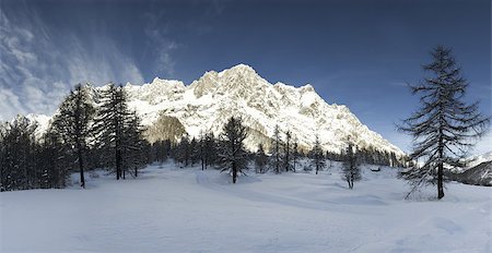 panoramic winter tree landscape - Mont Blanc: panorama from the Val Ferret, Aosta Valley - Italy Stock Photo - Budget Royalty-Free & Subscription, Code: 400-07302788