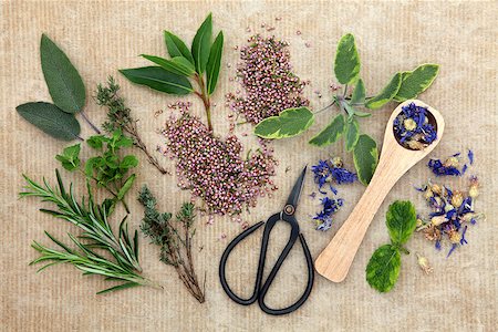 simsearch:400-07303169,k - Herb selection with old gardening scissors over brown paper background. Stock Photo - Budget Royalty-Free & Subscription, Code: 400-07303169