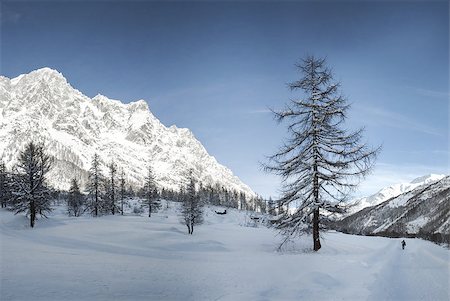 Mont Blanc seen from the Val Ferret, Aosta Valley - Italy Stock Photo - Budget Royalty-Free & Subscription, Code: 400-07303301