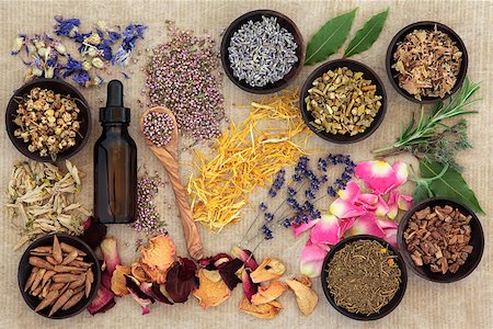 simsearch:400-07175956,k - Herbal naturopathic medicine selection also used in pagan witches magical potions over old paper background. Stock Photo - Budget Royalty-Free & Subscription, Code: 400-07303349