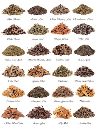 simsearch:400-06521200,k - Chinese herbal medicine selection over white background with titles. Fotografie stock - Microstock e Abbonamento, Codice: 400-07303357