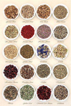 simsearch:400-07175956,k - Medicinal herb selection also used in witches magical potions in white porcelain bowls with titles  over mottled handmade paper background. Stock Photo - Budget Royalty-Free & Subscription, Code: 400-07303562