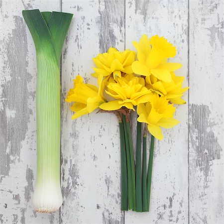 simsearch:6102-03750354,k - Daffodil flower and leek vegetables over distressed wooden background, symbols of Wales. Photographie de stock - Aubaine LD & Abonnement, Code: 400-07303575