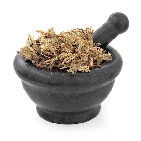 simsearch:400-06521200,k - Lycopodium chinese herbal medicine in a black stone mortar with pestle over white background. Shen jin cao. Stock Photo - Budget Royalty-Free & Subscription, Code: 400-07303570